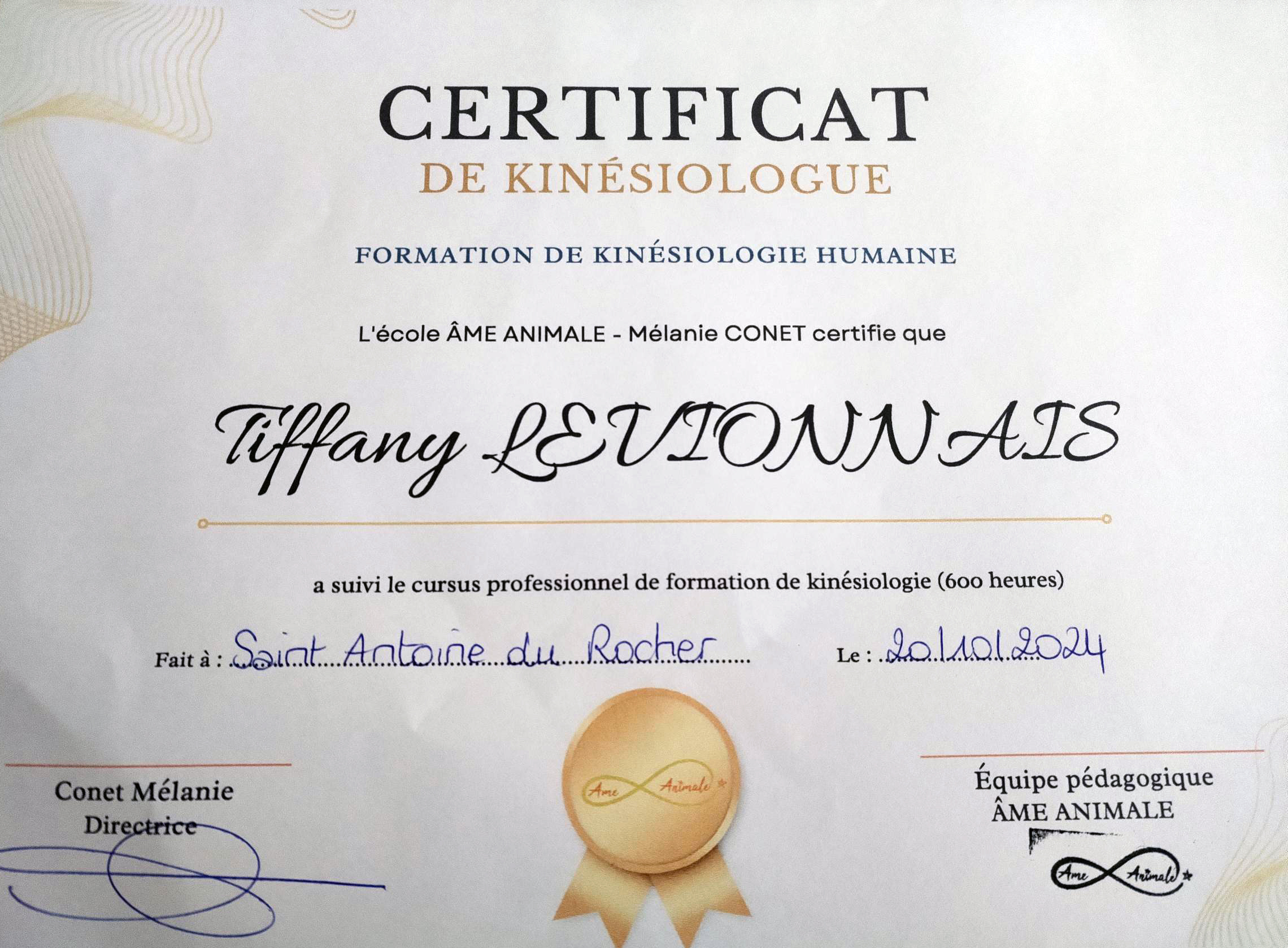 diplome kinesiologie Tiffany Lévionnais